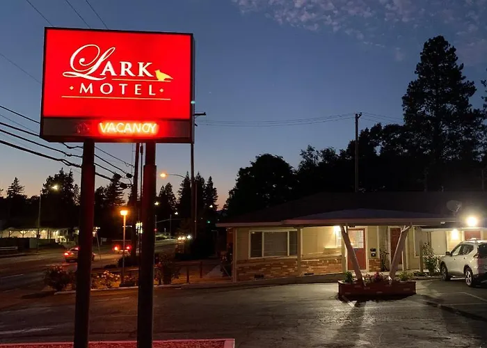 Lark Motel Willits