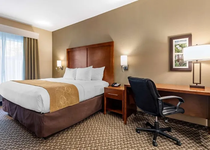 Comfort Suites Lufkin