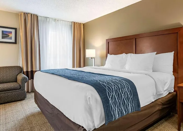 Comfort Inn & Suites Dimondale - Lansing