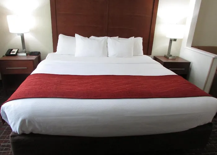 Comfort Inn Wichita Falls Near University