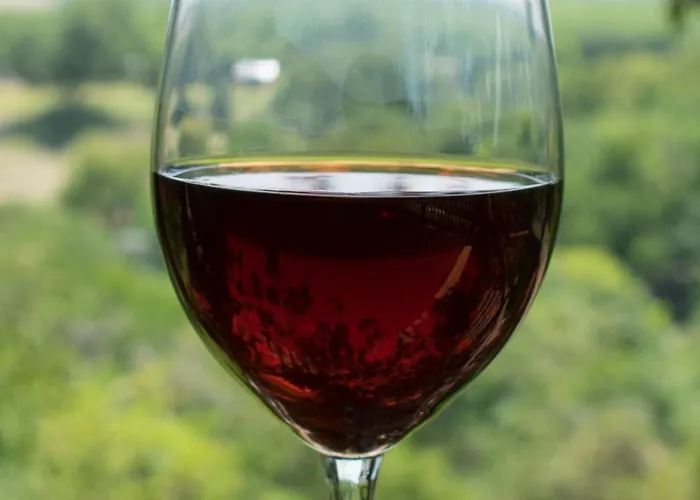 Casa Del Rio Bed And Breakfast Bastrop