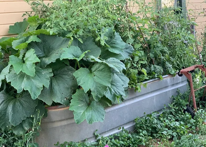 Priest Station Cafe & Cabins Groveland