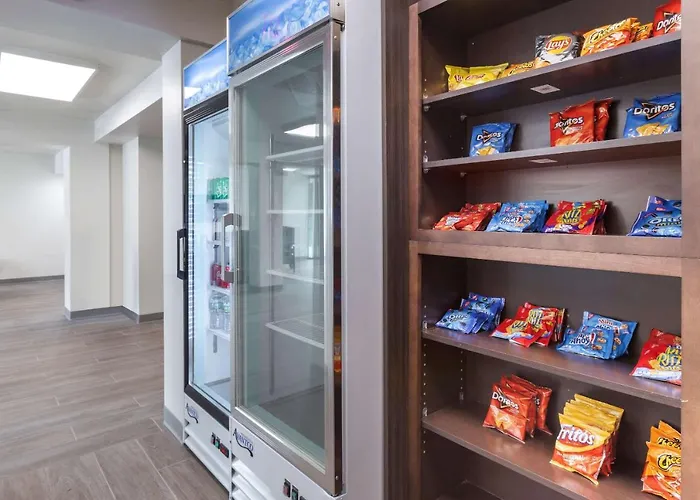 Quality Inn Saint Petersburg North-Tampa Bay