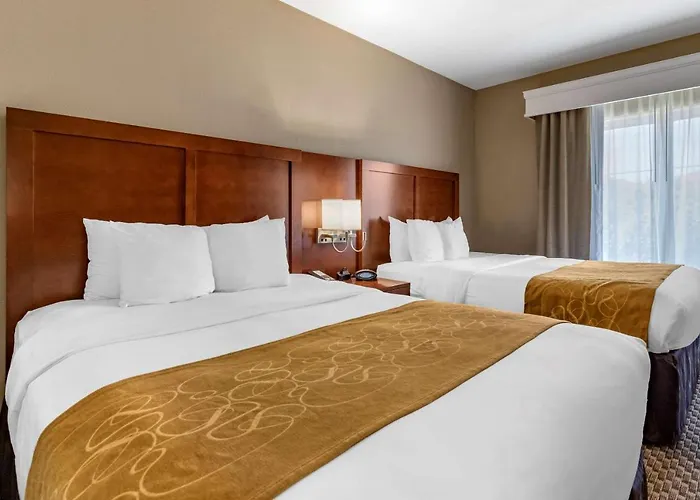 Comfort Suites Near Texas A&M - Corpus Christi