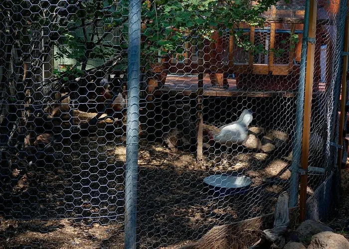 Elden Trails Bed And Breakfast Flagstaff