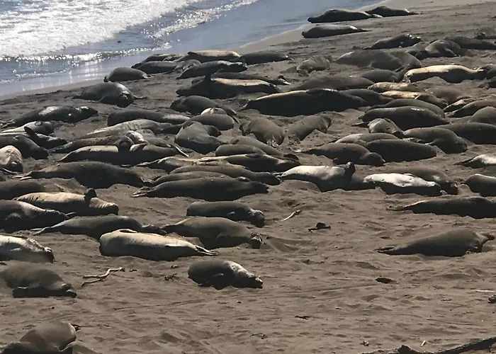 Her Castle Bed And Breakfast Cambria