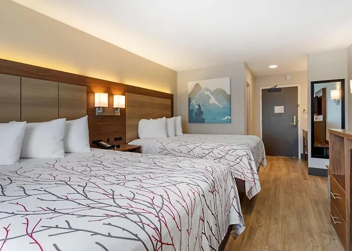 Garner Hotel Pigeon Forge Downtown By Ihg