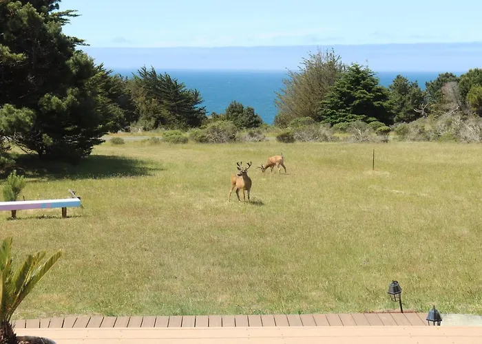 Cozy Getaway With Ocean View And Private Entrance! Hotel Gualala