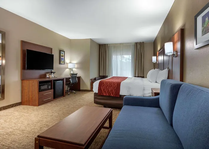 Comfort Inn & Suites Montgomery East Carmichael Rd