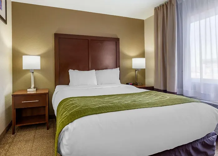 Comfort Inn & Suites Alameda At Albuquerque Balloon Fiesta Park