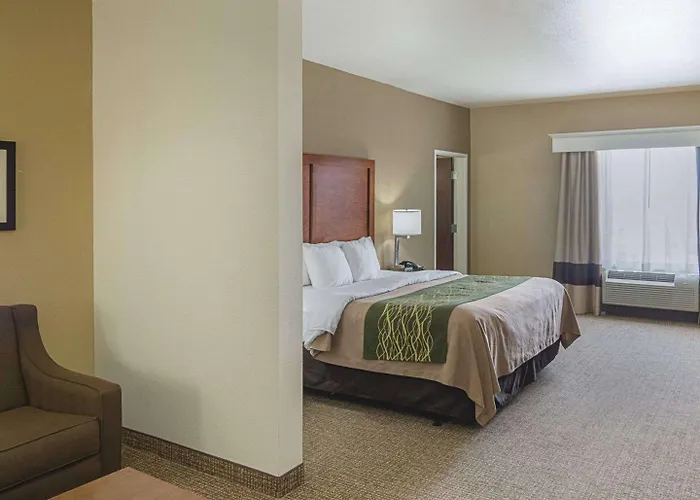 Comfort Inn Midland South I-20