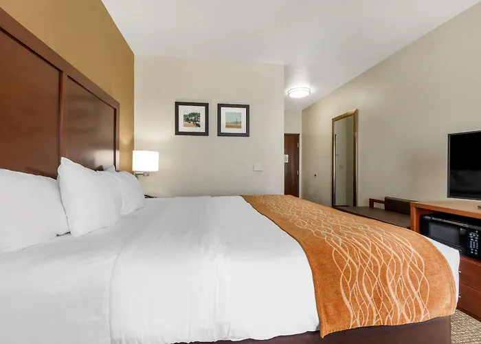 Comfort Inn Near Unt Denton