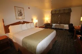 Best Western Liberty Inn Delano