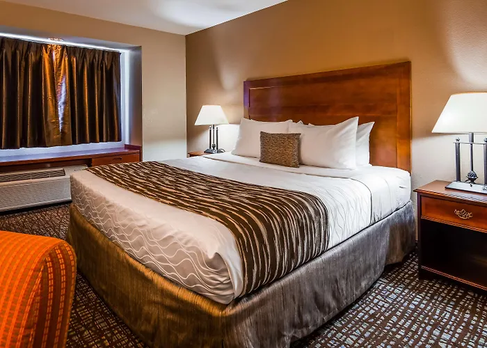 Best Western Plus Palm Court Hotel Davis