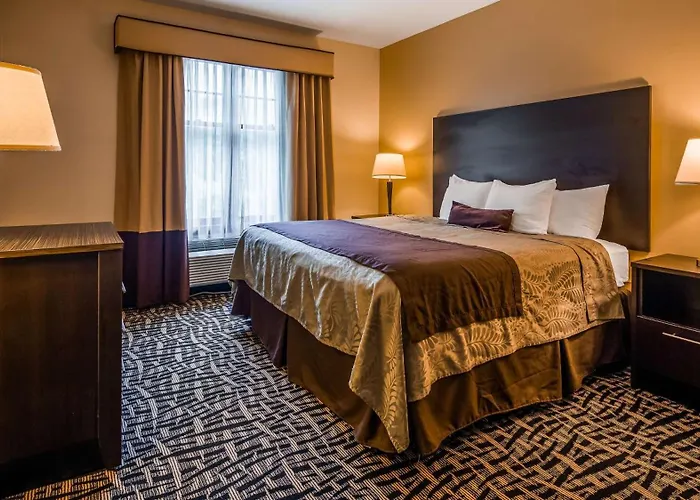 Best Western Plus The Inn & Suites At The Falls Arlington