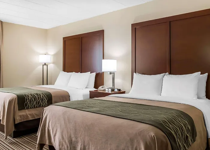 Comfort Inn - Pocono Mountains White Haven