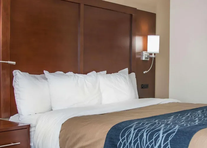 Comfort Inn Warren - Detroit North