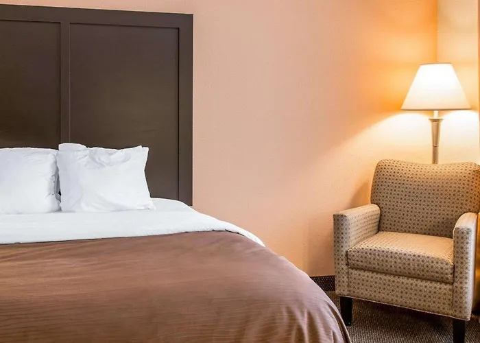 Quality Inn & Suites Niles