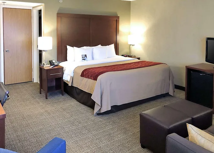 Comfort Inn Farmington Hills - Novi-Royal Oaks-Southfield-Detroit Northwest