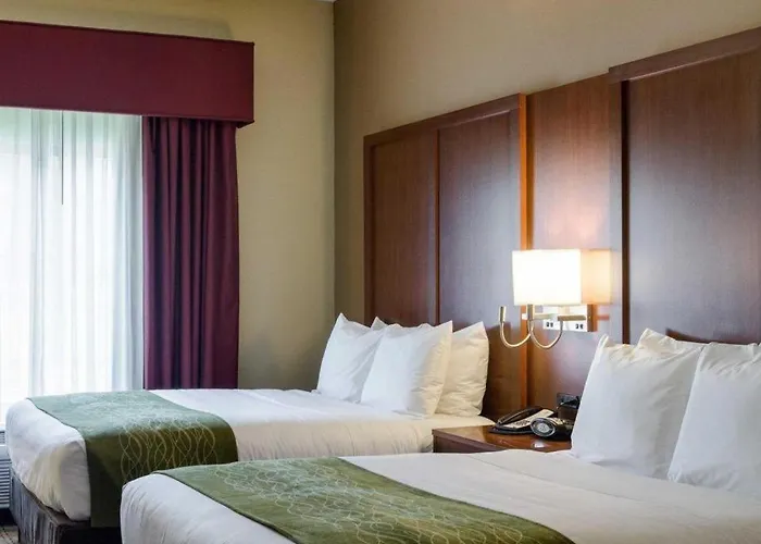 Comfort Suites Starkville