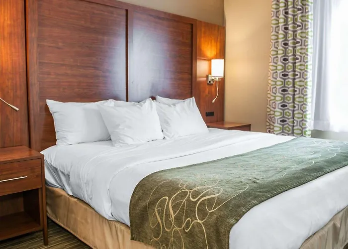 Comfort Suites Elkhart North