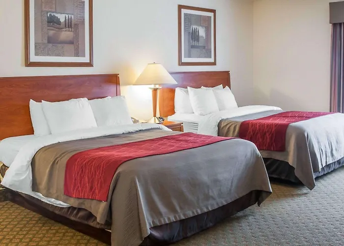 Comfort Inn & Suites Socorro