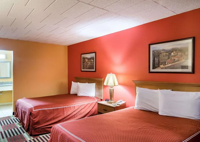 Rodeway Inn University Newark