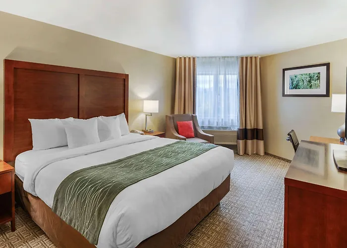 Comfort Inn Missoula Near University