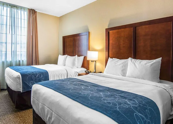 Comfort Suites Fredericksburg South