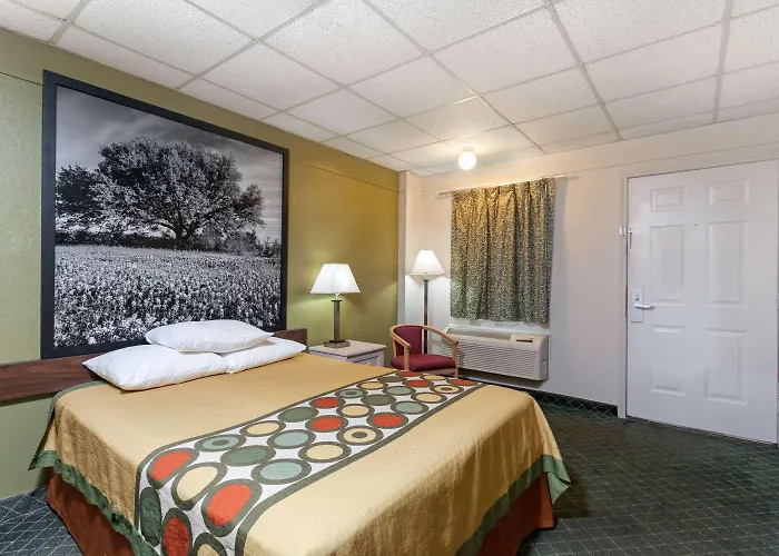 Super 8 By Wyndham Fredericksburg Hotel