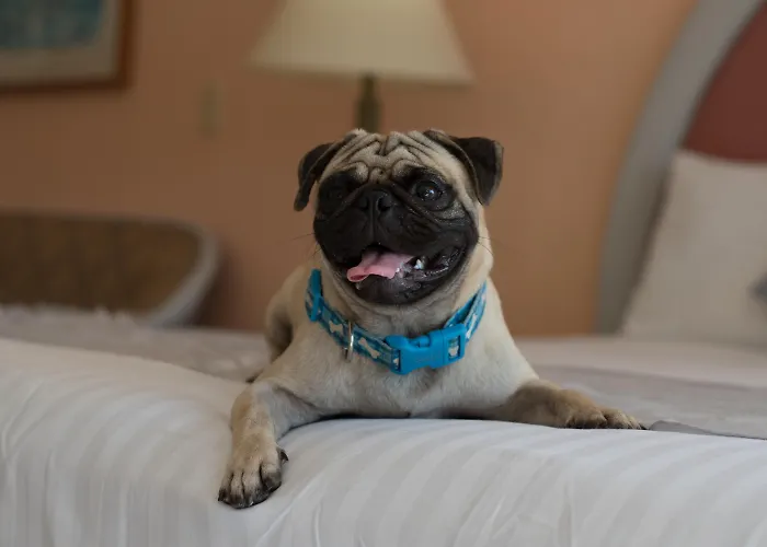 Hotel Villavera Acapulco