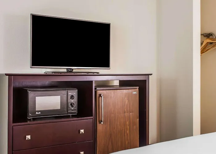 Comfort Inn & Suites Wyomissing-Reading