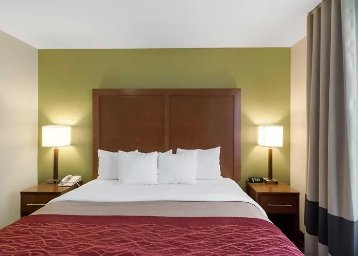 Comfort Inn & Suites Fayetteville-University Area