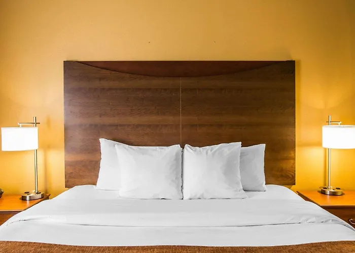 Comfort Suites Anderson-Clemson