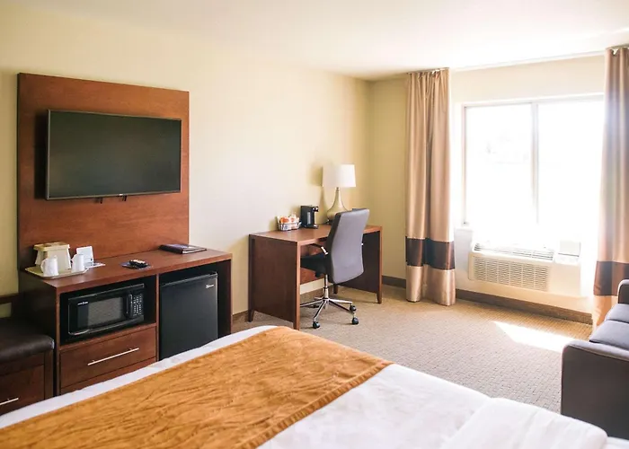 Comfort Inn & Suites Custer