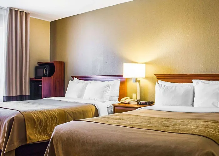 Spark By Hilton Guilford