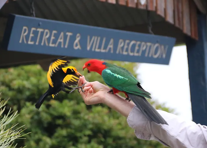 Canungra Hotels
