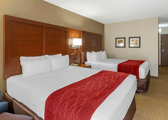 Comfort Inn & Suites Rochelle - Dekalb