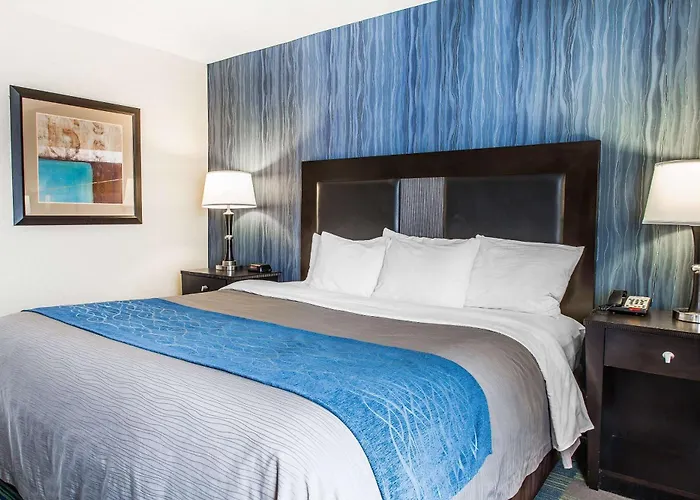 Comfort Inn & Suites Meriden East