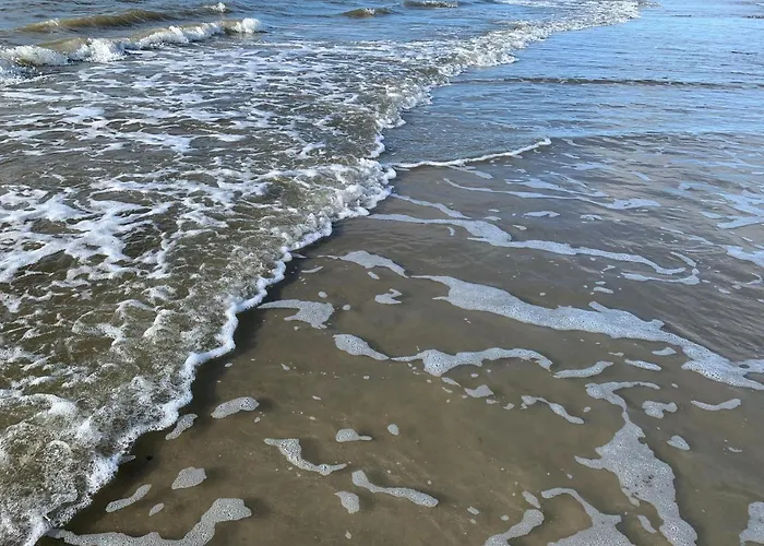 Island Getaway Aparthotel Galveston