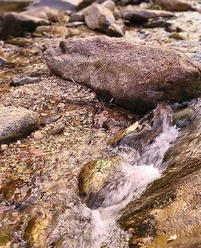 Riverside Retreat Hotel Hendersonville