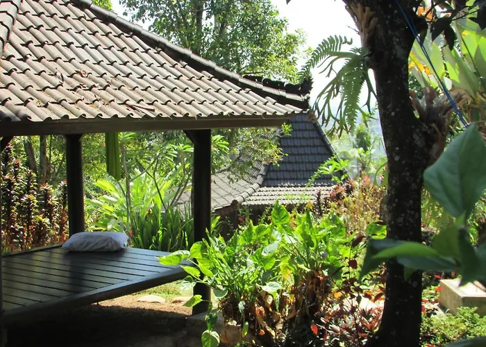 Singaraja (Bali) Hotels