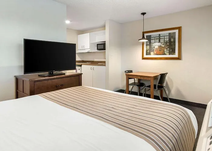 Birch Hill Suites - Lakeland