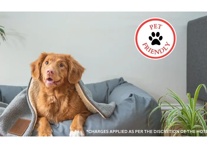 Oyo Hotel Texarkana North Heights Ar Hwy I-30