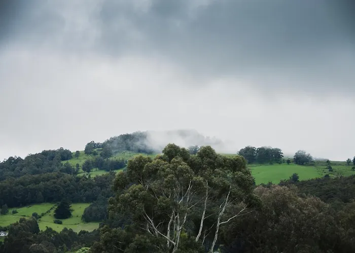 Geeveston Hotels