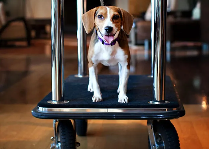 Holiday Inn Express & Suites Indio - Coachella Valley By Ihg