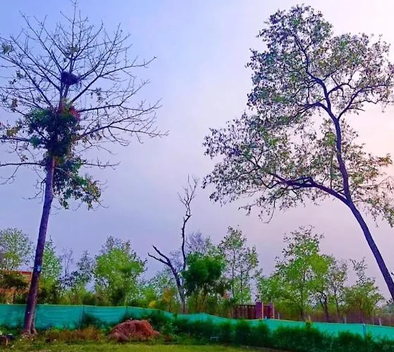 Jim Corbett National Park Hotels
