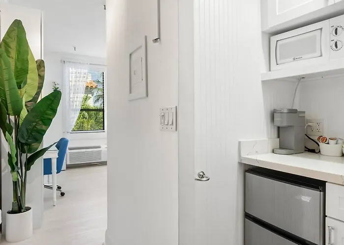 Palm Beach Little Gem