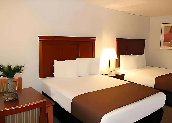 Rodeway Inn Santa Clara El Camino Real