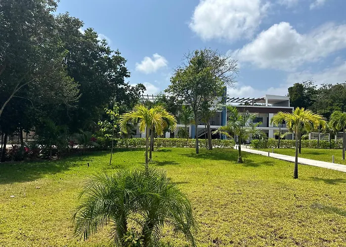 Playa Paraiso Hotels